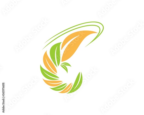 Nature leaf and shrimp silhouette