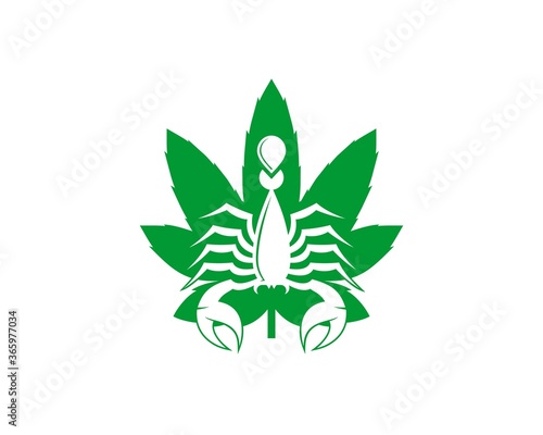 Cannabis with scorpion inside