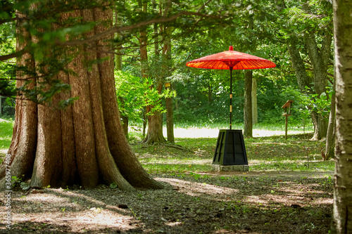 Shinto Shrine of Natsu-Mōde(夏詣) in summer, Hokkaido, Japan photo