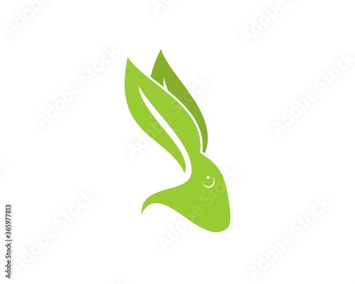 Green rabbit with nature leaf