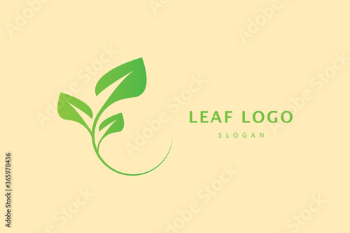 Leaf Logo Design Vector