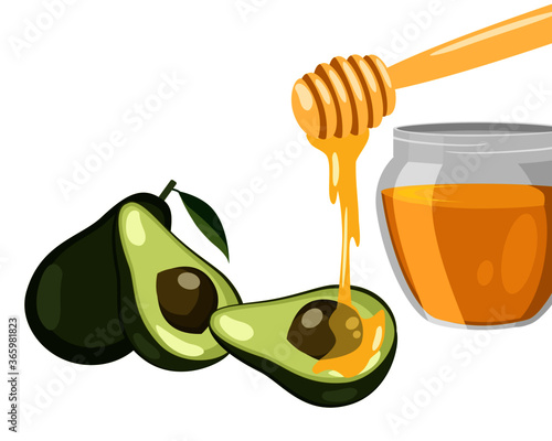 Fresh green avocado with honey  isolated on white background. Vector illustration.