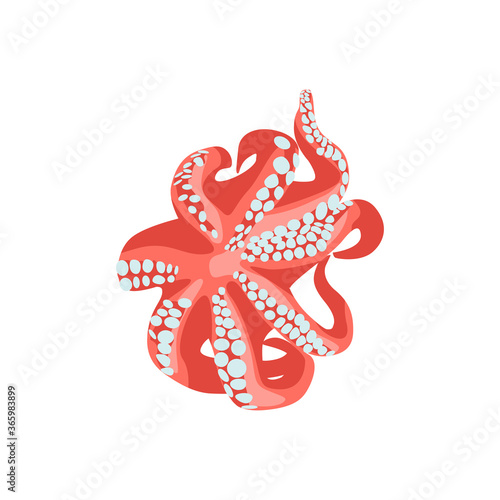Octopus fresh delicacy seafood. Delicious marine cuisine menu, fish market design. Organic natural healthy nutritious vegetarian food cartoon vector illustration isolated on white background
