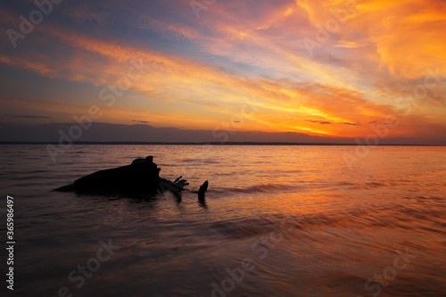 Beautiful spring landscape with sea coast, colorful sunset sky and log or snag.