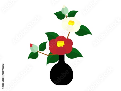 花瓶に生けた紅白の椿の花のイラスト