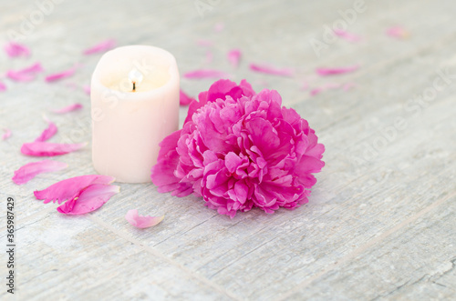 Beautiful pink peony flowers and white candle on light grey stone background with copy space for your text top view. Greeting card, SPA and romantic concept.