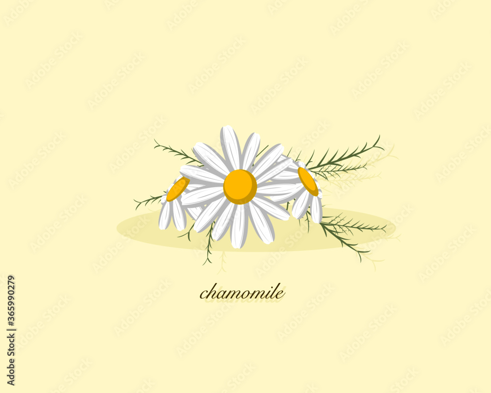 White daisy flower isolated on yellow background. vector illustration. White daisy flower isolated on yellow background. vector illustration.