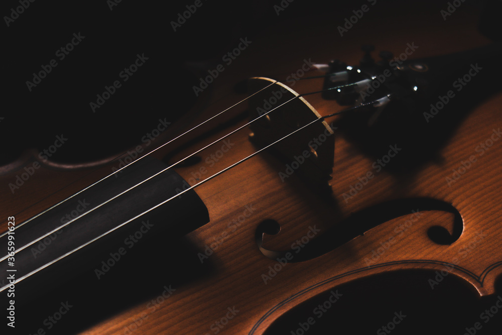 violin on black background