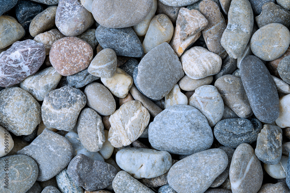 dry riverbed with stones, natural background, macro dry riverbed with stones, natural background, macro