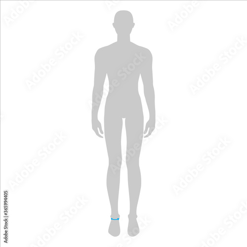 Men to do high ankle measurement fashion Illustration for size chart. 7.5 head size boy for site or online shop. Human body infographic template for clothes.  © Vectoressa