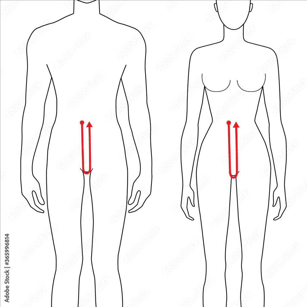 Women And Men To Do Crotch Depth Measurement Fashion Illustration For 
