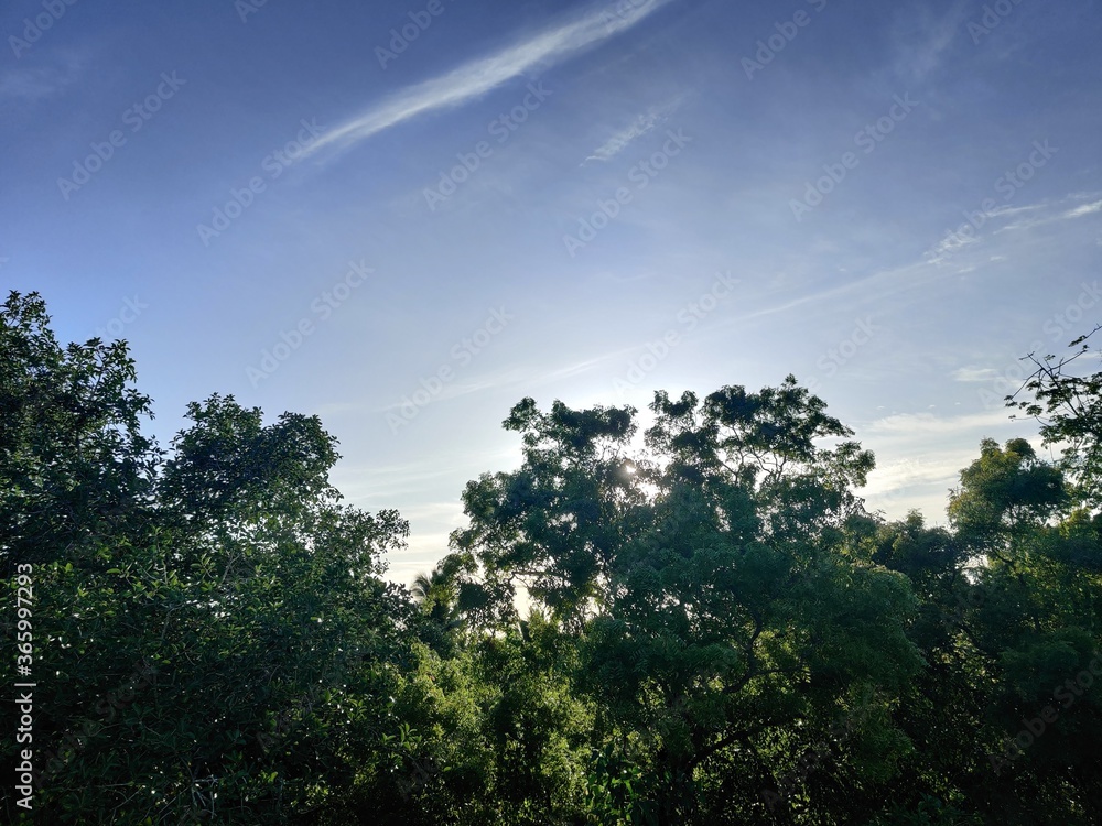 clouds and sun