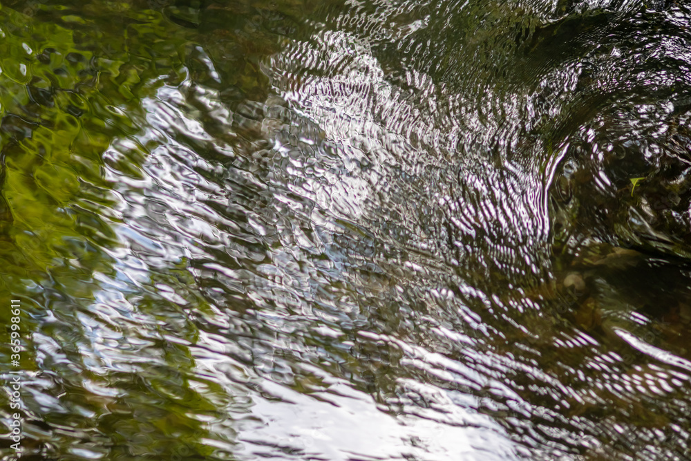Obraz premium Calm floating creek with crystal clear water and rocks of a natural little dam or adventure hiking trail over a flat little brook in the woods as adventure tour with raindrops and waterfalls