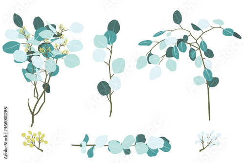 Vector Illustration of Eucalyptus Foliage Branch Elements
