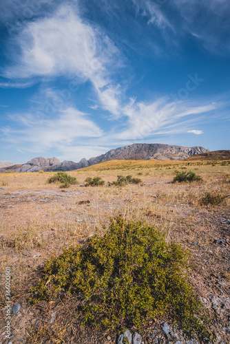 Mountains in the steppe, the Karatau mountain range. South Kazakhstan © Artem Orlyanskiy