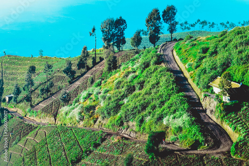  Natural scenery in Argosari village on the slopes of Mount Semeru, Lumajang, East Java photo