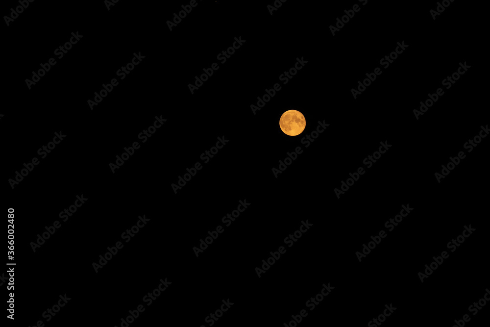 Yellow moon in a black sky, copy space