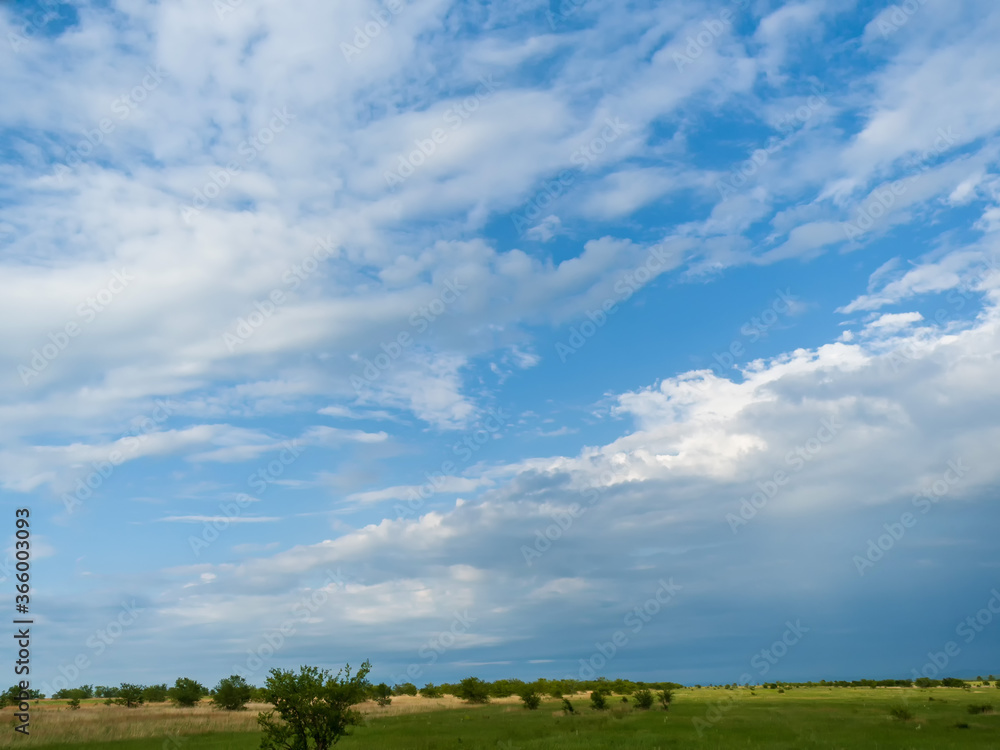 Naklejka premium Blue sky and clouds over green fields. Summer sunny day