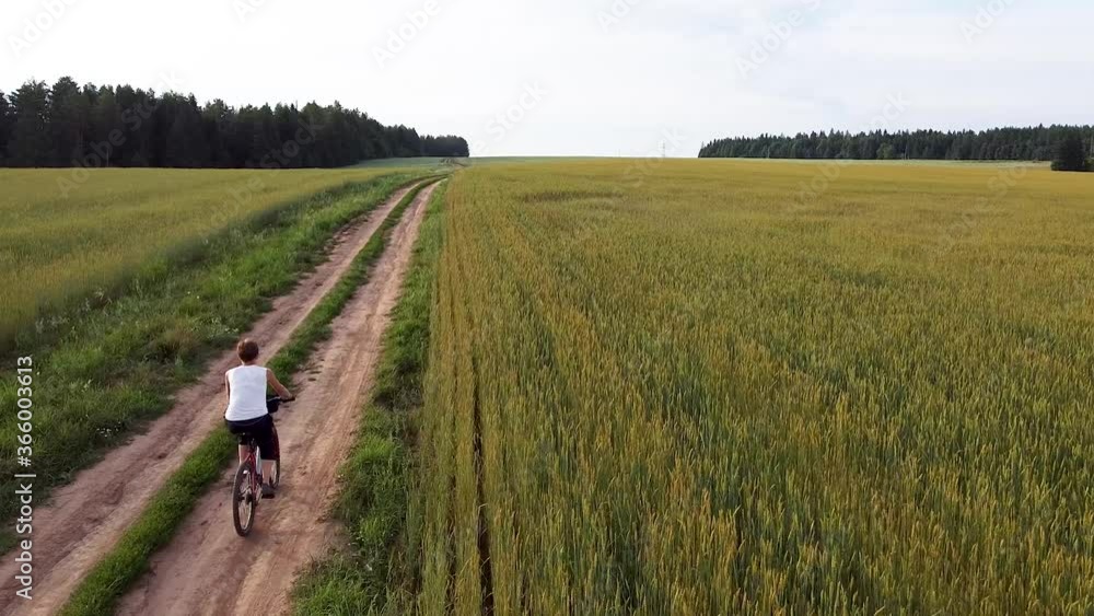 Aerial photography. Girl rides on a dirt road on a bicycle among fields of wheat and rye Aerial photography. Girl rides on a dirt road on a bicycle among fields of wheat and rye