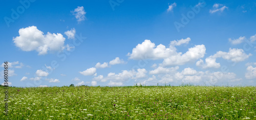 Fotografie, Obraz Panorama green meadows and fields
