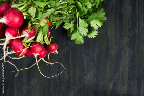 healthy and organic radishes, grouped above the image on a white cloth on a dark table