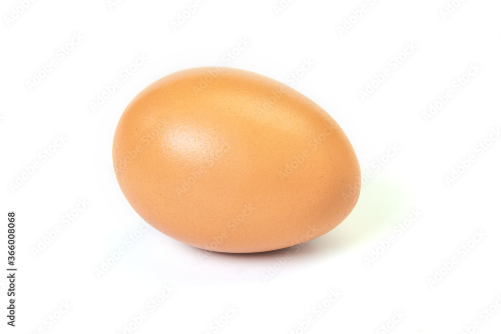 Chicken egg on white background. Brown egg on white background. Chicken egg on white background. Brown egg on white background.