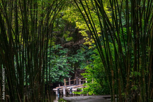 A wooden bridge over a small river or pond on the background of green trees.