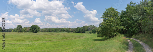 Rogalin - Landscape Park near Poznań
