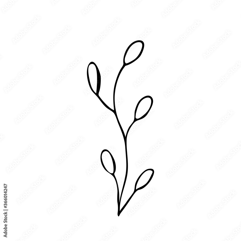 Hand drawn abstract floral sprig silhouette. Black and white outline vector illustration. Decorative branches. Spring and summer leaf icon. Doodle style. Hand drawn abstract floral sprig silhouette. Black and white outline vector illustration. Decorative branches. Spring and summer leaf icon. Doodle style.