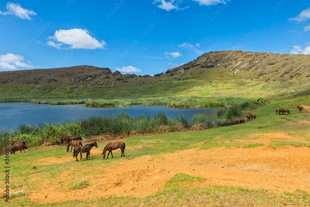 Lake Raku Rano Raraku crater lake, Rapa Nui National Park, Easter Island, Chile ...