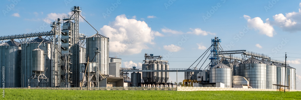 Obraz premium silver silos on agro-processing and manufacturing plant for processing drying cleaning and storage of agricultural products, flour, cereals and grain. Granary elevator.