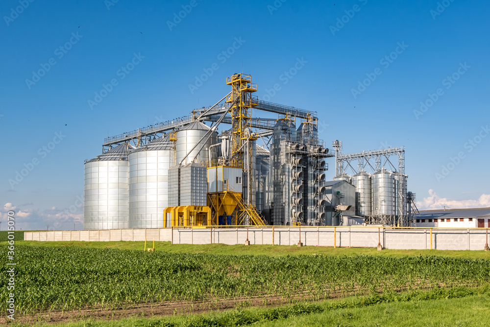 silver silos on agro-processing and manufacturing plant for processing drying cleaning and storage of agricultural products, flour, cereals and grain. Granary elevator. silver silos on agro-processing and manufacturing plant for processing drying cleaning and storage of agricultural products, flour, cereals and grain. Granary elevator.