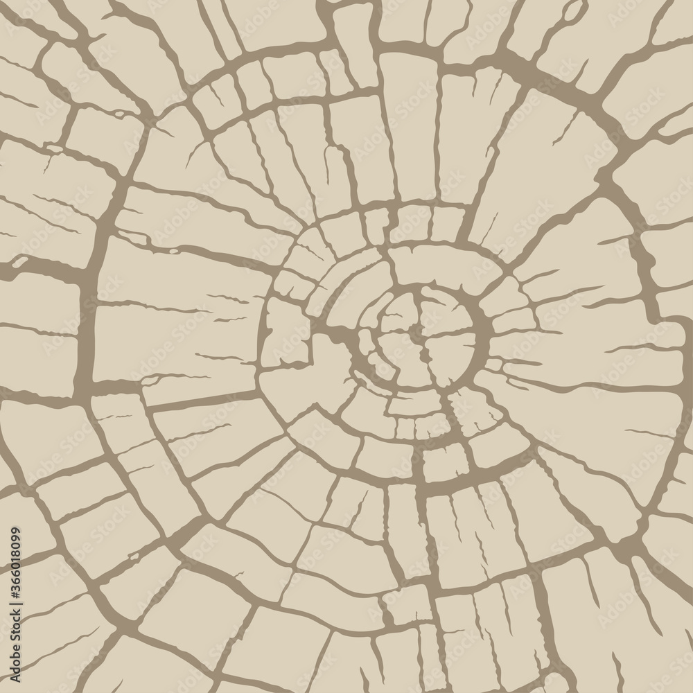 Cracked wood texture, radial cross section. Wooden cut of a tree log. Pattern of cracks on an old stump. Vector background