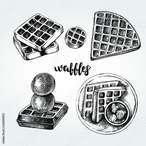 Set of different waffles. Ink hand drawn Vector illustration with brush calligraphy style lettering. Food elements for menu or signboard design.