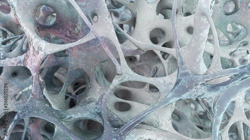 Photography Osteoporotic trabecular bone