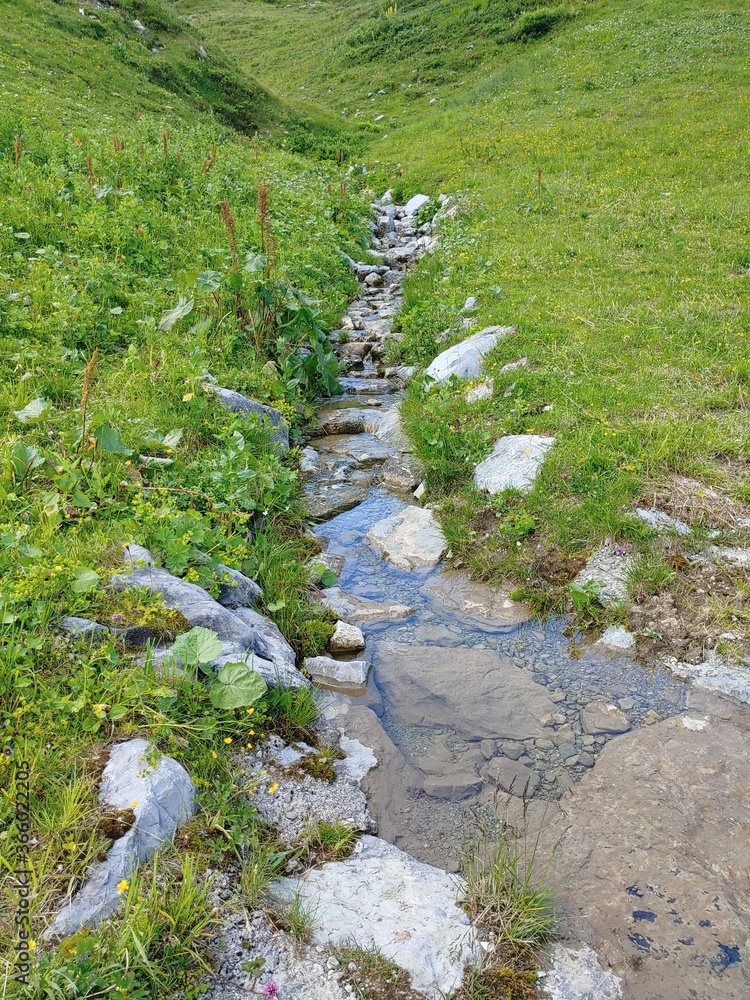 Creek in the alps near Schröcken in Austria Creek in the alps near Schröcken in Austria