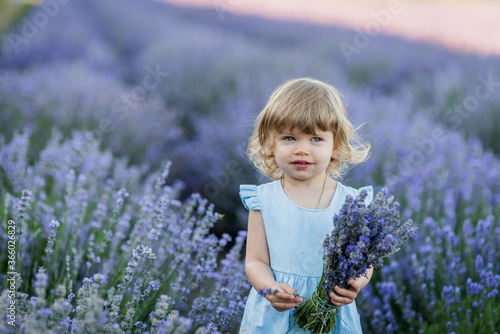 baby on lavander field in dress, blond long hair smiling