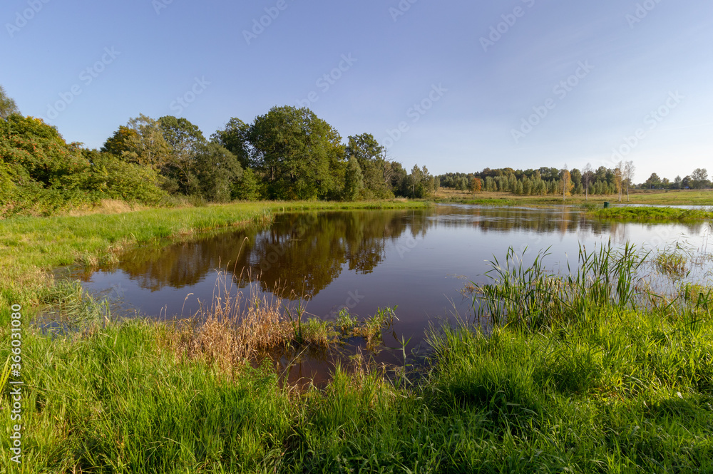 Blue sky, trees reflected in the calm water of the lake. In the foreground, bright green reeds grow on the shore. Rural landscape in Latvia Blue sky, trees reflected in the calm water of the lake. In the foreground, bright green reeds grow on the shore. Rural landscape in Latvia