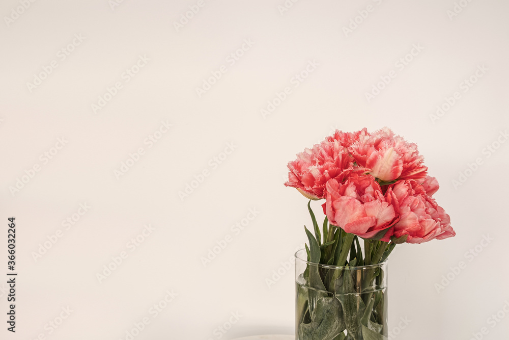 Obraz premium Beautiful pink peony flowers bouquet in glass vase on marble table on white background