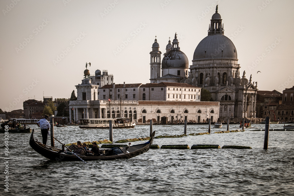 Venice's Architectural Treasures: Admiring the Salute, Basilicas, and Bridges Along the Grand Canal