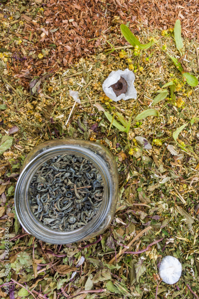 Obraz premium Assorted natural medical dried herbs