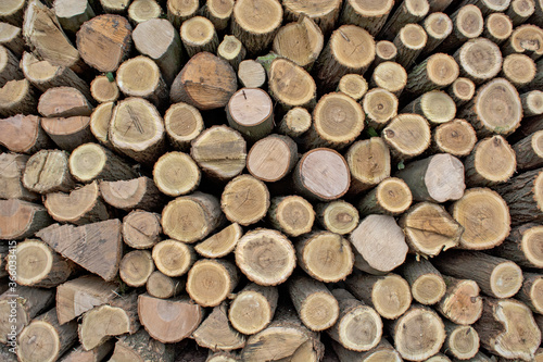 Firewood in households