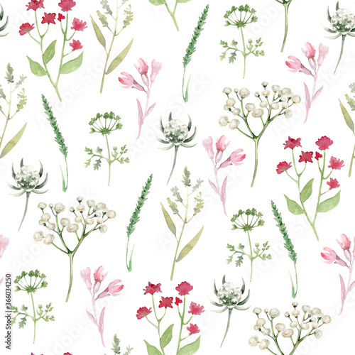 Hand drawn watercolor herbal pattern on white background.Wild flowers ornament.Floral pattern