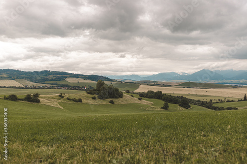 Summer landscape of meadow with hills and cloudy sky © Simona