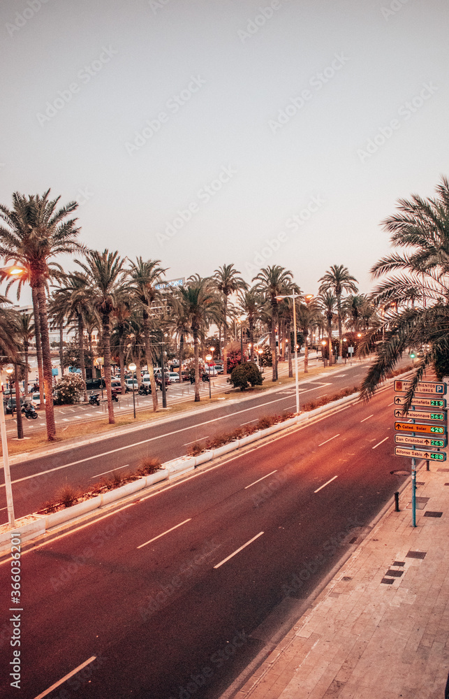 Palm trees near the sea with a street in Alicante