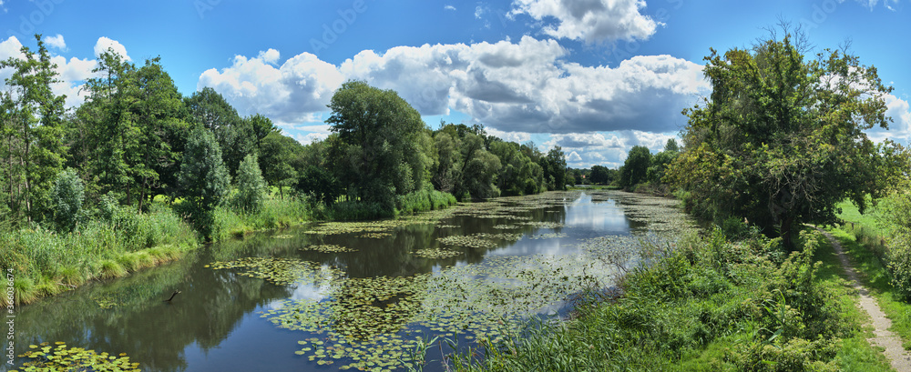 Panorama from a lake with water lily fields and trees and bushes on the shore under a blue-white sky, Brome Lake near Gifhorn, Germany Panorama from a lake with water lily fields and trees and bushes on the shore under a blue-white sky, Brome Lake near Gifhorn, Germany