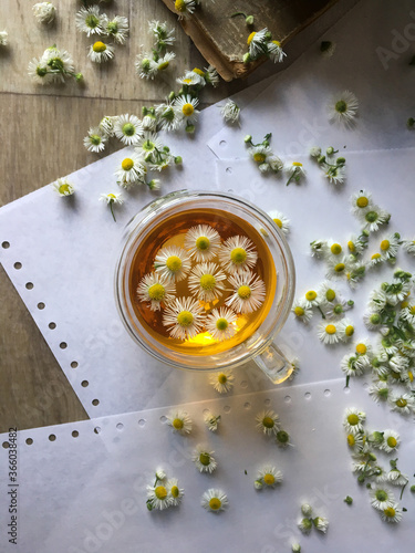 herbal tea with chamomile in a transparent cup