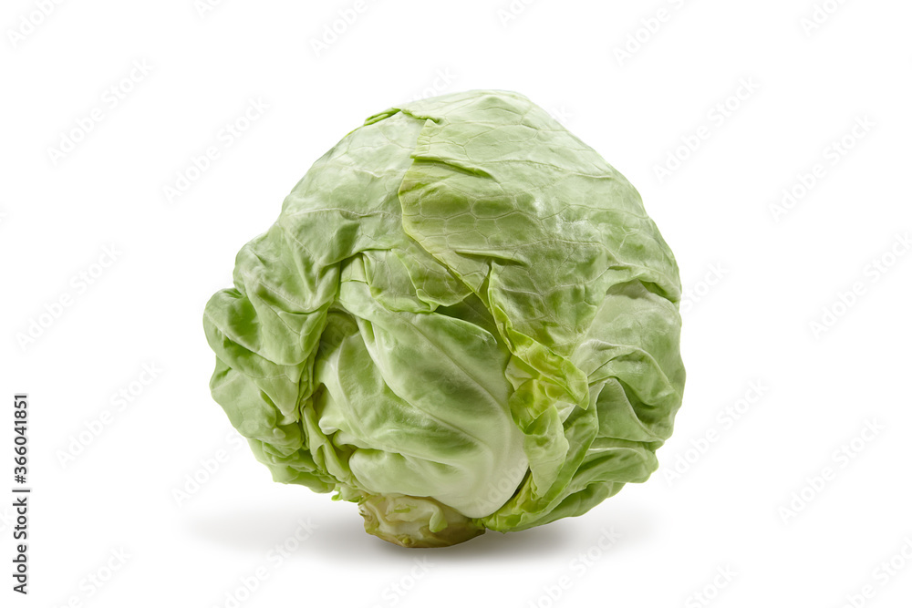 Fresh harvested, pale green cabbage isolated on white background. Smooth-leafed vegetable. Close up, copy space Fresh harvested, pale green cabbage isolated on white background. Smooth-leafed vegetable. Close up, copy space