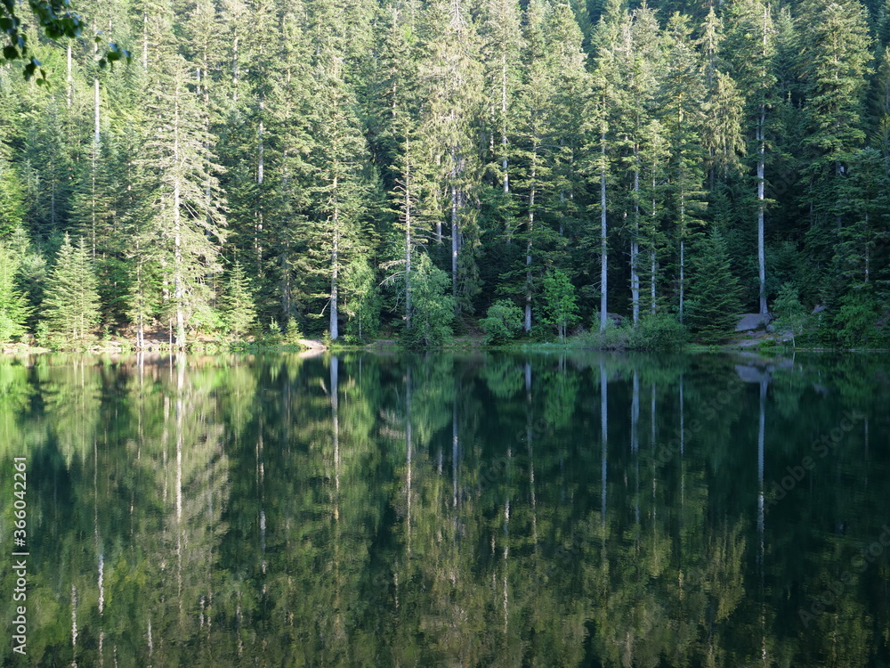 The small lake of The small lake of