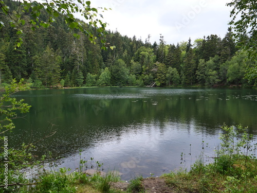 The small lake of "la Maix" at Vexaincourt in the east of France.